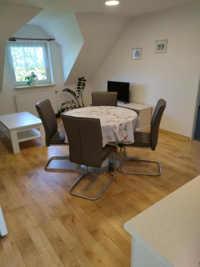 Penzion Hortenzie Usilne Eksteriør billede